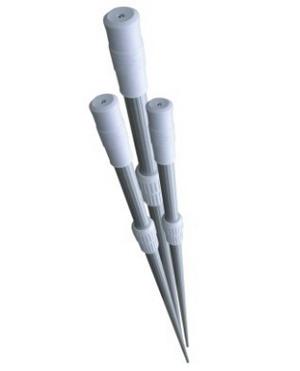 �������O(sh��)��-��s�U